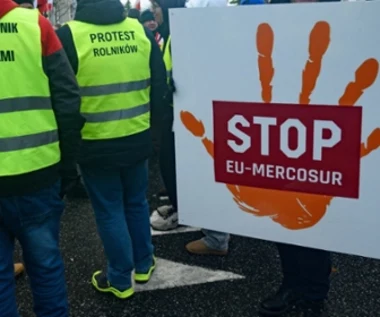 Handel UE z Mercosurem rośnie dynamicznie. Miliardowe obroty robią wrażenie