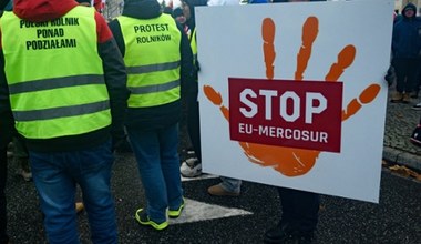 Handel UE z Mercosurem rośnie dynamicznie. Miliardowe obroty robią wrażenie