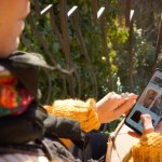 Handlujący na Vinted pod lupą fiskusa. Na forach sprzedawców niepokój