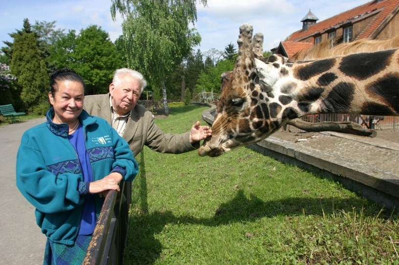 Hanna Gucwińska i Antoni Gucwiński /Rafal Witczak/East News /East News