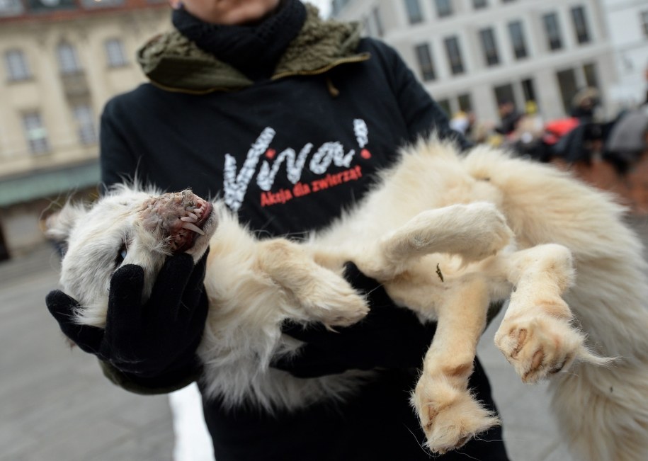Happening „Jutro będzie futro” na Placu Zamkowym /Marcin Obara /PAP