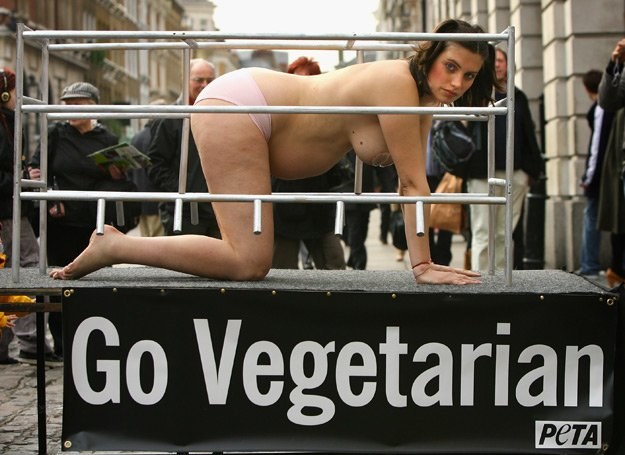 Happening, podczas którego ciężarna kobieta protestuje przeciwko nieludzkiemu traktowaniu świń /Getty Images/Flash Press Media