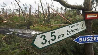 ​Harcerska Polska w żałobie