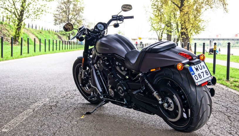 Harley-Davidson Night Rider Special /INTERIA.PL