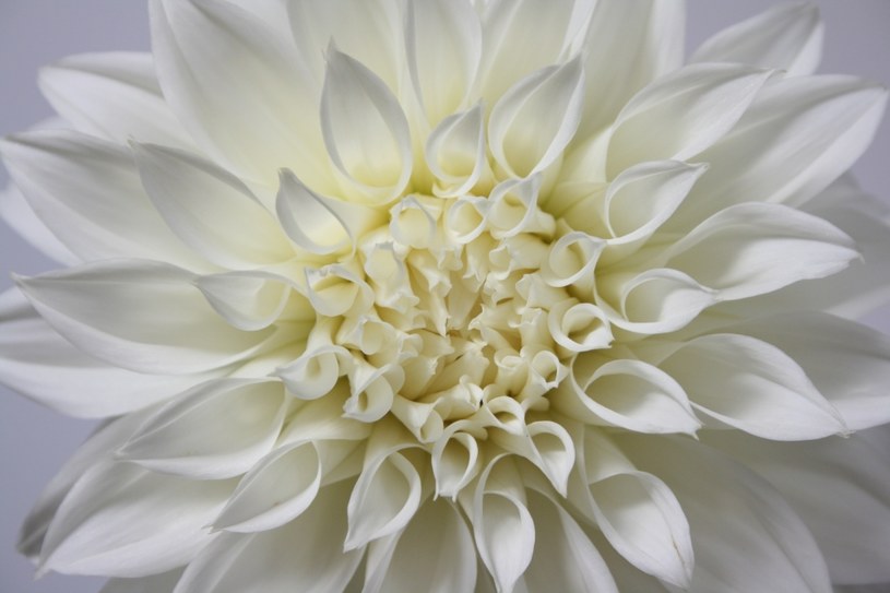 Harmonia to sprawa kluczowa w praktykach ekologicznych /Unsplash
