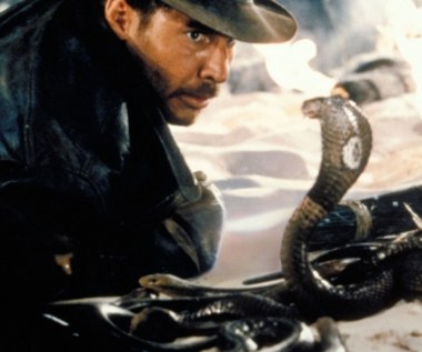 Harrison Ford: Nowy gatunek węża został nazwany na cześć gwiazdora