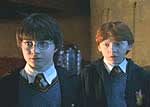 Harry i Ron, bohaterowie filmu "Komnata tajemnic" /