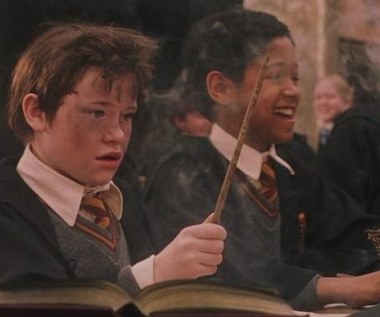 "Harry Potter": Devon Murray był dziecięcą gwiazdą. Nie wytrzymał nagłej sławy