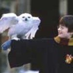 "Harry Potter" drugi w historii kina
