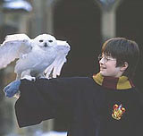 Harry Potter i jego sowa /