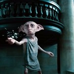 "Harry Potter": Symboliczny grób Zgredka jednak nie zostanie przeniesiony