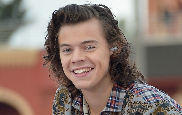 Harry Styles ma romans? /Gustavo Caballero /Getty Images