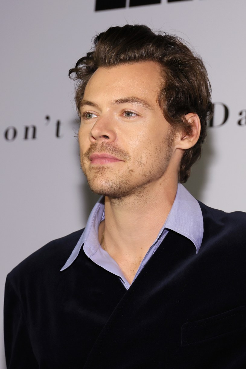 Harry Styles / Dia Dipasupil / Getty Images