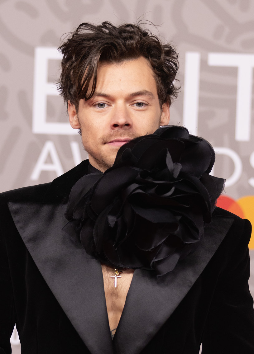 Harry Styles /Jo Hale /Getty Images