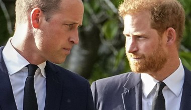 Harry zaplanował już, czym się zajmie z dala od rodziny. Wyszło na jaw. William nie będzie zadowolony
