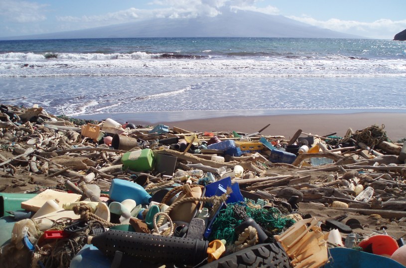 Hawaje zalewane są tonami śmieci z sąsiadującej "wyspy" /domena publiczna