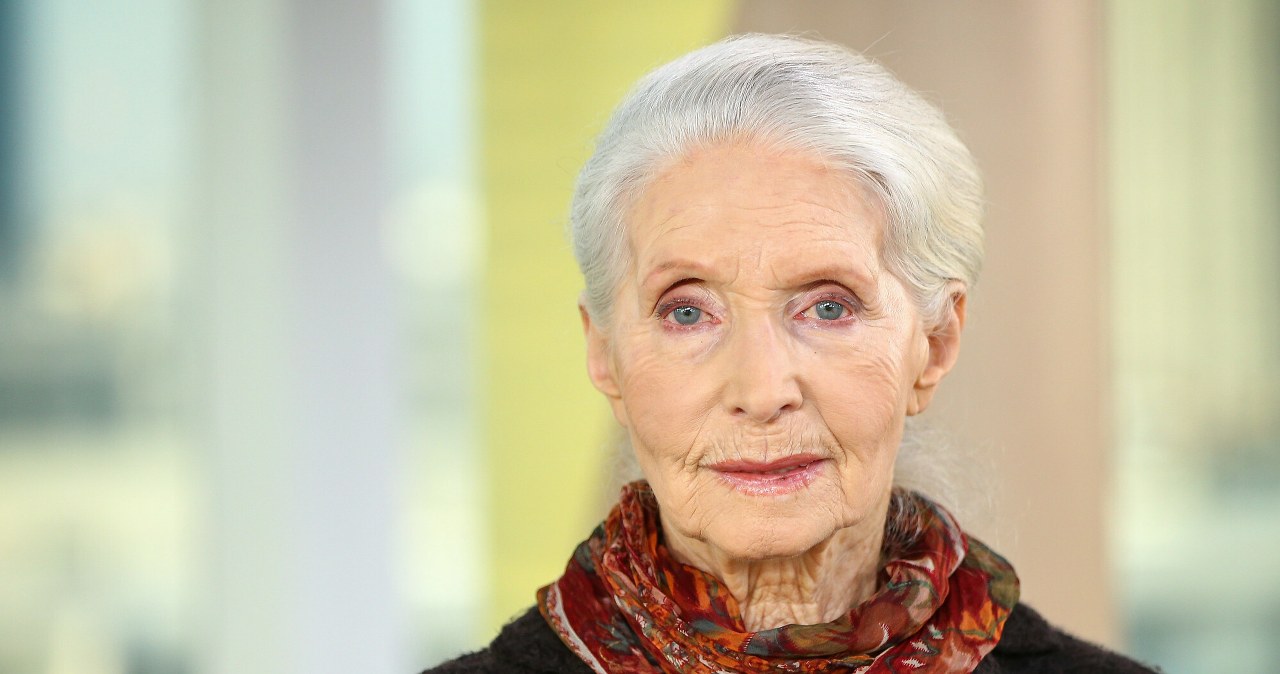 Helena Norowicz /Kamil Piklikiewicz/Dzień Dobry TVN /East News