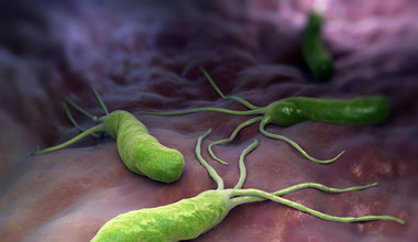 Helicobacter Pylori - niechciany lokator