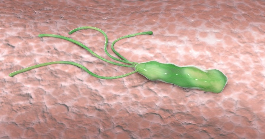 Helicobacter pylori /&copy;123RF/PICSEL