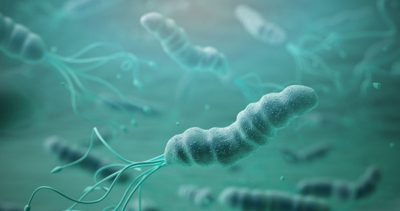 Helicobacter pylori /&copy;123RF/PICSEL