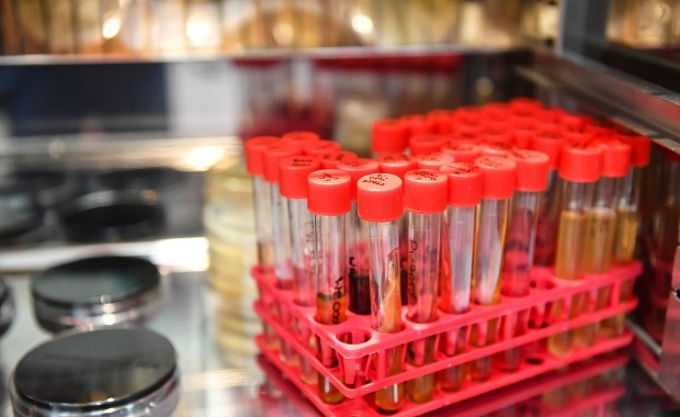 Heparyna przeciwko koronawirusowi?