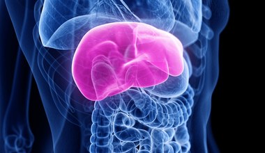 Hepatomegalia. Tak objawia się powiększona wątroba. Chorzy odczuwają charakterystyczny ból