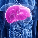 Hepatomegalia. Wątroba nie boli, ale jej powiększenie już tak. Co oznacza?