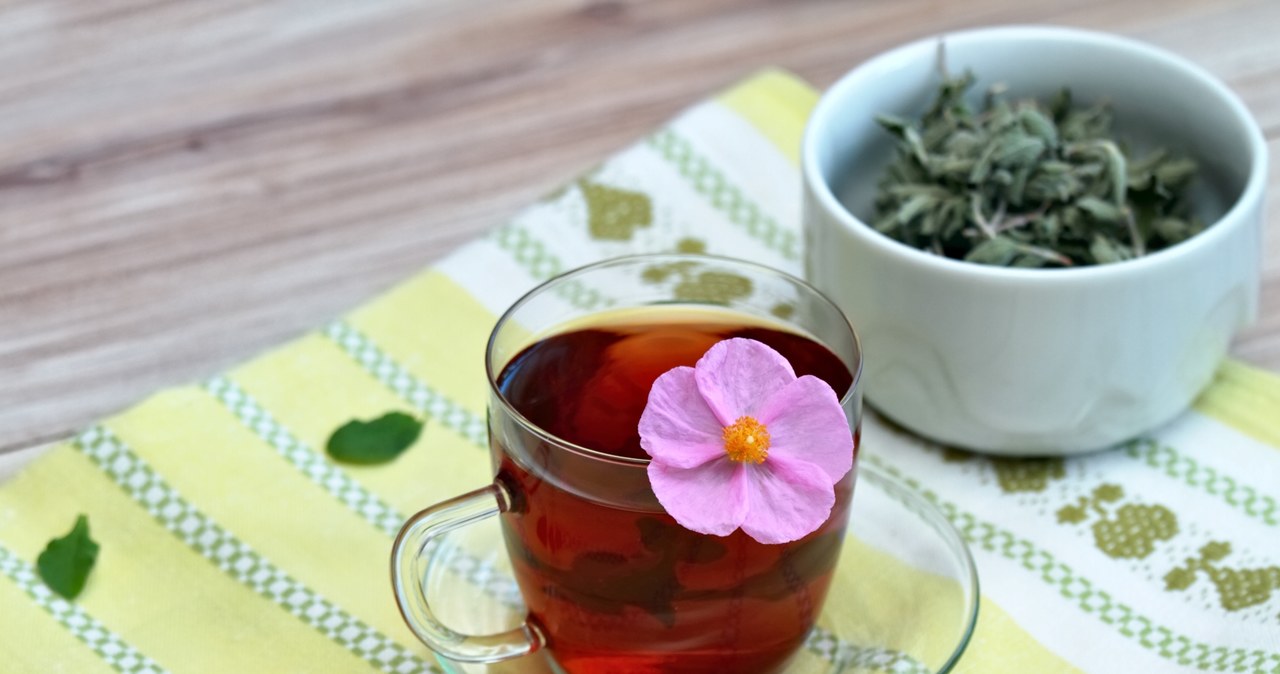 Herbata z czystka jest prosta do przygotowania, a jej zapach odstrasza kleszcze i komary. Warto ją regularnie wypijać. /Pixel