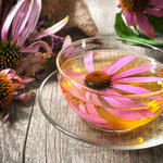 Herbata z echinacei: Właściwości i zastosowania