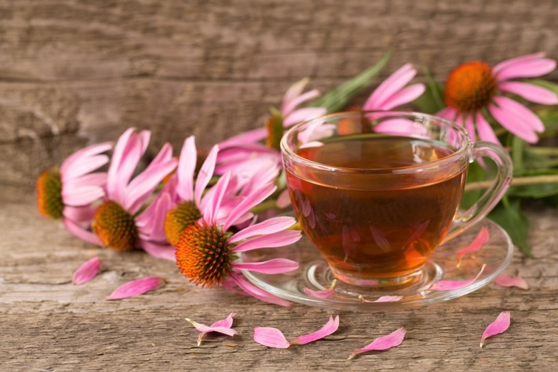 Herbata z jeżówki poprawia odporność /123RF/PICSEL