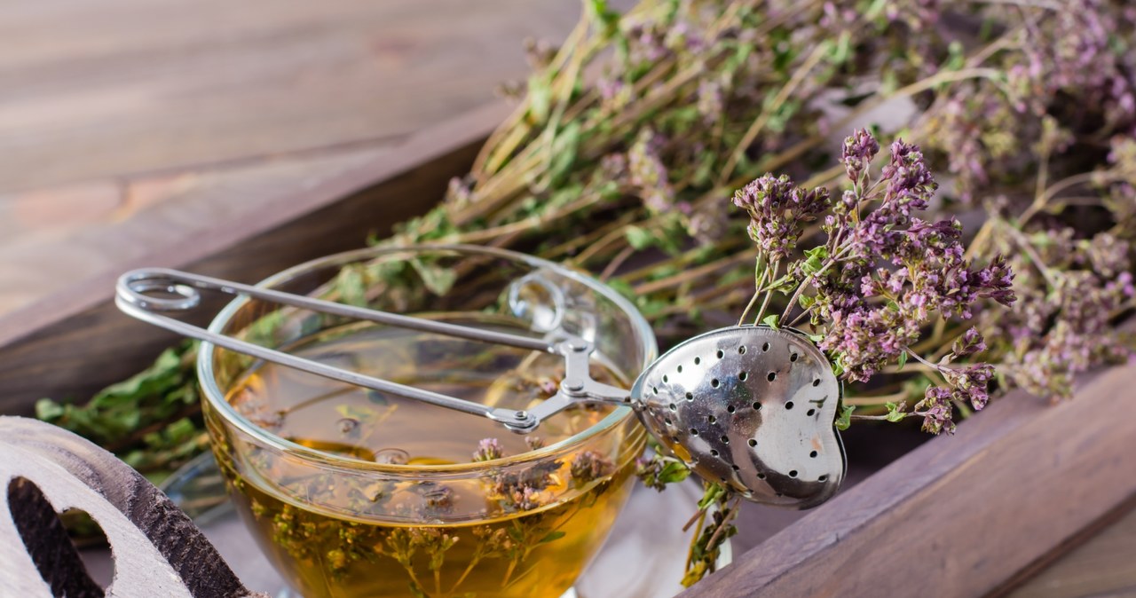 Herbata z oregano pomoże na problemy ze zdrowiem /123RF/PICSEL