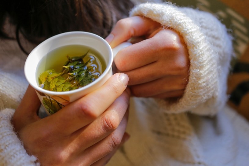 Herbata z szałwii wzmocni twoje dziąsła /123RF/PICSEL
