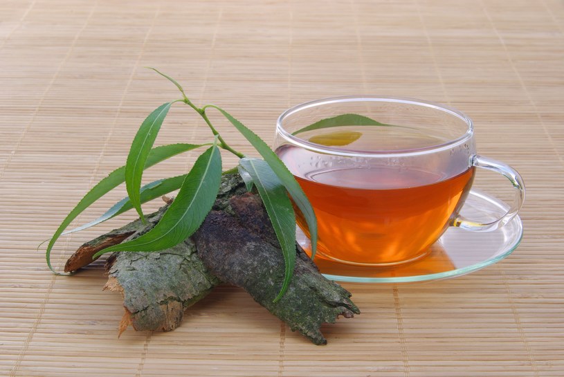Herbatka z kory wierzby skutecznie pomaga przy dolegliwościach mięśni oraz stawów /123RF/PICSEL