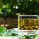 Herbatka ziołowa z Salmonellą. Ostrzeżenie GIS