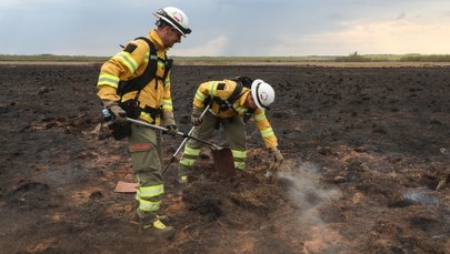 Heroiczna walka z pożarem w parku narodowym. Tak radzą sobie strażacy