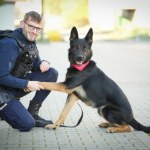 Heros na czterech łapach. Policyjny pies Niko oddał krew