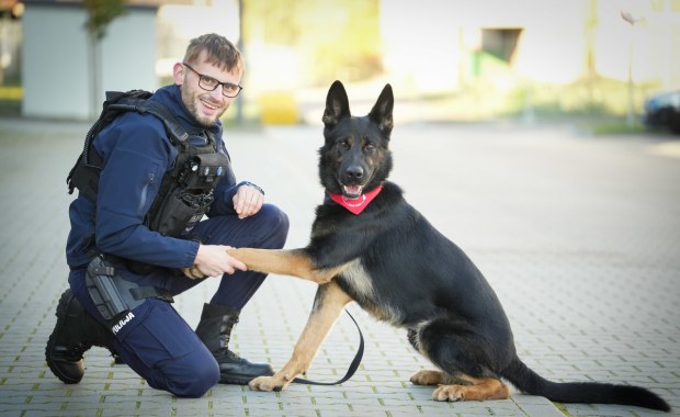 Heros na czterech łapach. Policyjny pies Niko oddał krew