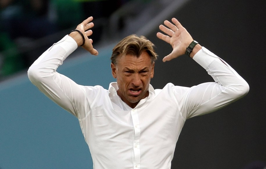 Herve Renard podczas meczu Polska - Arabia Saudyjska na katarskim mundialu /RONALD WITTEK /PAP/EPA