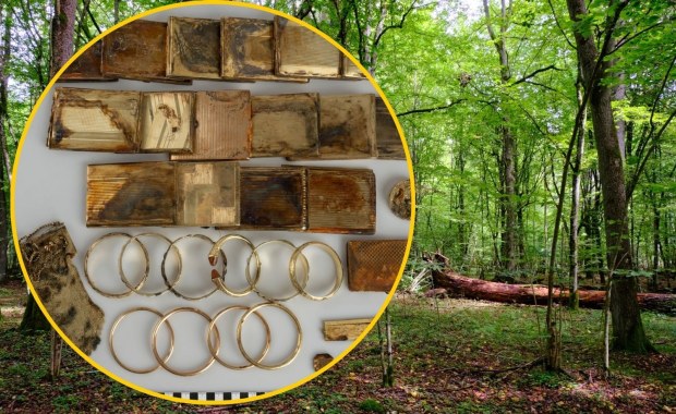 Historia jak z bajki: W lesie znaleźli skarb wart fortunę