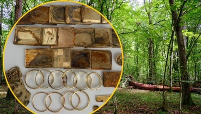 Historia jak z bajki: W lesie znaleźli skarb wart fortunę
