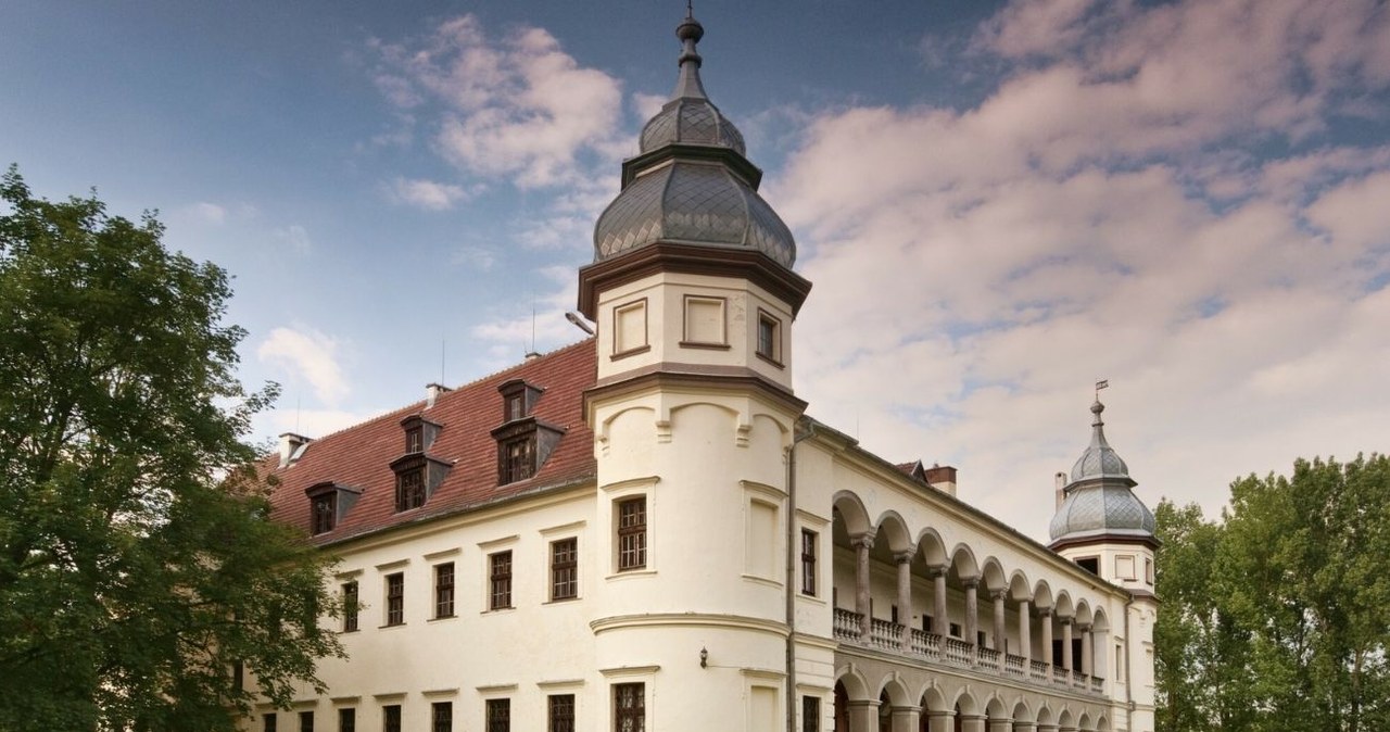 Historia pałacu w Krobielowicach powiązana jest z Napoleonem Bonaparte /Witold Skrzypczak/Reporter /East News