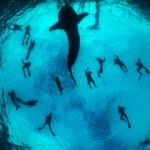 Historyczna umowa oceaniczna otwiera nowy rozdział. Dotyczy połowy świata