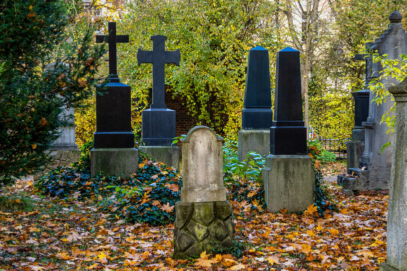 Historyczny cmentarz w Monachium. Zdj. ilustracyjne /123RF/PICSEL