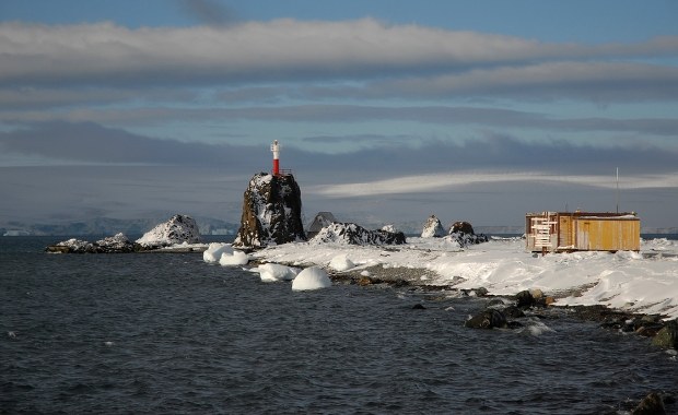 Historyczny sukces Polki. Agnieszka Kruszewska stanie na czele "Antarktyki"