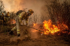 Hiszpania: 30 pożarów jednego dnia. Przez niedopałek spłonęło 200 ha lasu