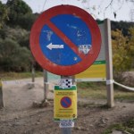 Hiszpania mierzy się z pomorem świń. Resort rolnictwa uznał, że to problem narodowy