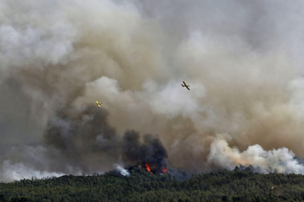 Hiszpania: Ogień w ciągu kilku godzin strawił około 450 hektarów lasów /SUSANNA SAEZ  /PAP/EPA