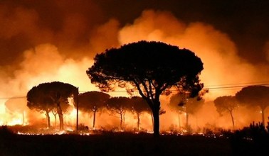 Hiszpania: Polscy turyści ewakuowani z hotelu z powodu pożaru lasu
