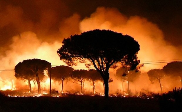 Hiszpania: Polscy turyści ewakuowani z hotelu z powodu pożaru lasu