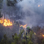 Hiszpania: Rośnie liczba podpalaczy lasów 